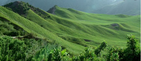 東方龍商務(wù)集團助力新疆烏什縣委托招商引資，推進產(chǎn)業(yè)發(fā)展集聚